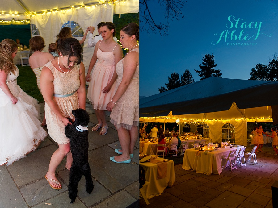 Destiny + Stew's Blueberry Hill Estate Spring Indiana Wedding by Stacy Able Photography