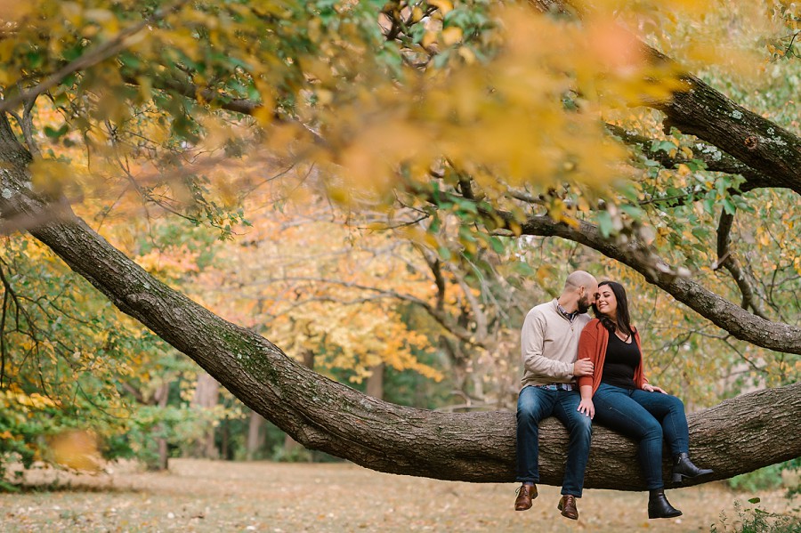 Holiday Park Fall Engagement Session Indianapolis Wedding Photographer Stacy Able Midwest