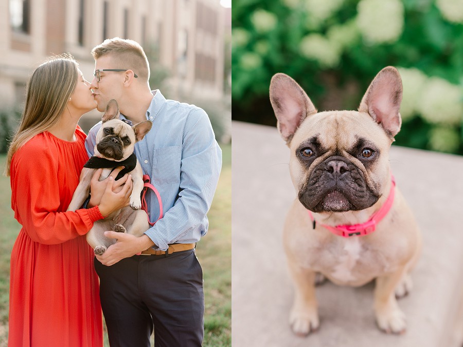 purdue-university-engagement-photos-with-frenchbulldog